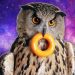 maxresdefault 3 Owls are Weirdos
