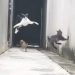 maxresdefault 1 Street Cats Display Unreal Parkour Skills