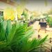 Alsos Lounge Café: Οι λάτρεις του Πάρκου και της Πόλης! 111 36393007 1919083624810308 7524479005454499840 o Alsos Lounge Café: Οι λάτρεις του Πάρκου και της Πόλης!