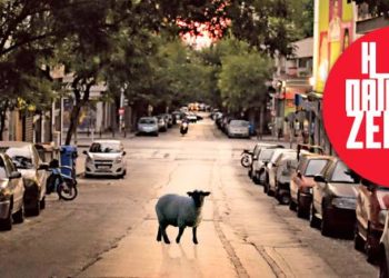 Editorial | Τεύχος 35 | Η Πατησίων Ζει