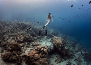 2992550 Η πρώτη υποβρύχια έκθεση παγκοσμίως στο βυθό της Αμοργού