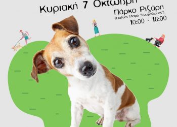 e1538637944381 4 Οκτωβρίου Παγκόσμια Ημέρα Ζώων | Υιοθέτησε ένα αδέσποτο της Αθήνας