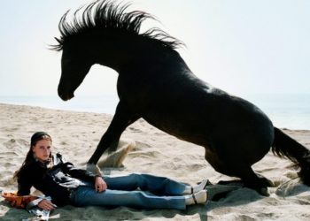Gucci by Lanthimos "Of course Horse"_i poli zei
