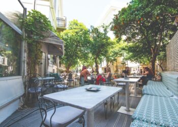Ιπποπόταμος