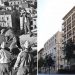 Οδός Φιλελλήνων: Ο γιος του συνθέτη, η «γυναίκα που σκοτώνει» και ο απολυμένος δασοφύλακας
