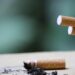 Σεπτέμβρης: Νέα ξεκινήματα! | Κόφτο ρε! 123 tsigaro-kofto
