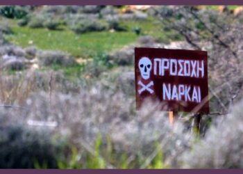 narkopedio-cover