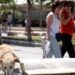 Δήμος Αθηναίων: Ανοίγουν επτά κλιματιζόμενοι χώροι για την προστασία των πολιτών από τον καύσωνα