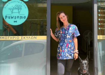 Pawsome: Για σκυλιά στην τρίχα!