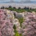 Ήρθε η άνοιξη κοντά μου, κι ας μην ήρθες εσύ