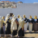 «Με 2 Ματιές» | Στο Μουσείο Λαϊκής Τέχνης και Παράδοσης «Αγγελική Χατζημιχάλη» Δήμου Αθηναίων