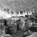 Φεστιβάλ Αθηνών Επιδαύρου | Αφιέρωμα στον Λευτέρη Βογιατζή 113 Φεστιβάλ Αθηνών Επιδαύρου | Αφιέρωμα στον Λευτέρη Βογιατζή