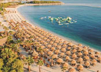 Bolivar Beach Bar: The amazing world of Bolivar Beach Bar