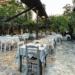 Martinis: A timeless culinary gem in Patisia