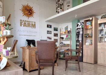 Four elements seeds: Πώς πάνε στον κόσμο της κάνναβης; Με το μετρό!