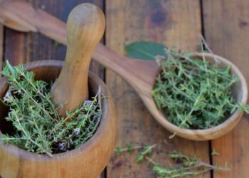 Mugwort (Artemisia vulgaris): Οδηγός για το Βότανο της Χαλάρωσης και της Πνευματικής Ενδοσκόπησης