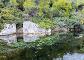Υδροβιότοπος Κοκκώσι: Ένας κρυμμένος παράδεισος στην Κορινθία