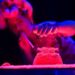 «The Bath»: Το πρώτο ελληνικό Mega Bubble Show επέστρεψε 111 «The Bath»: Το πρώτο ελληνικό Mega Bubble Show επέστρεψε