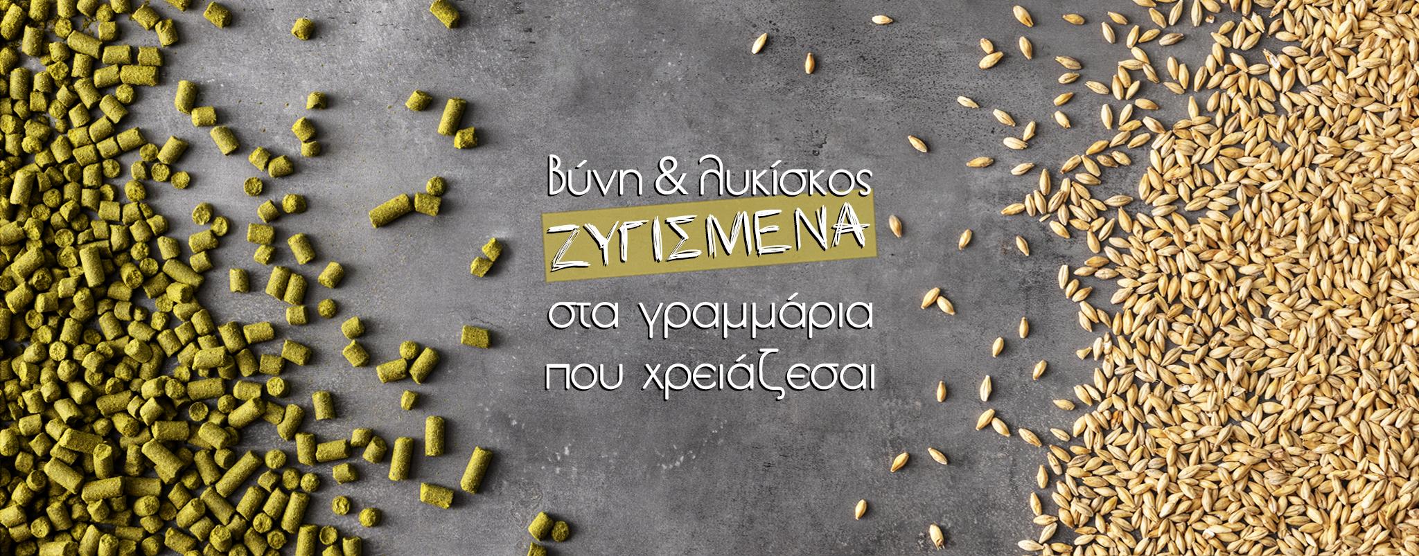 BANNER 0176 2048x803 1 Το Ale Box είναι ο απόλυτος "προορισμός" για όσους θέλουν να φτιάξουν τη δική τους σπιτική μπύρα!