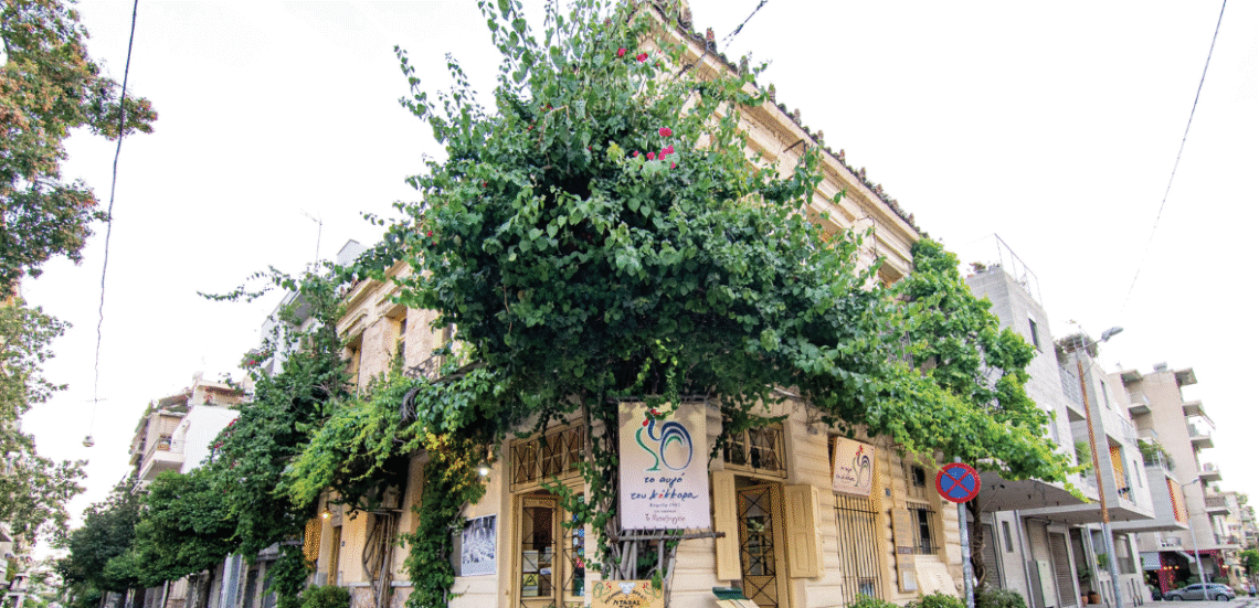 123 Anywhere St. Any City 22 Το αυγό του κόκκορα: Μια αυλή που μοσχοβολά