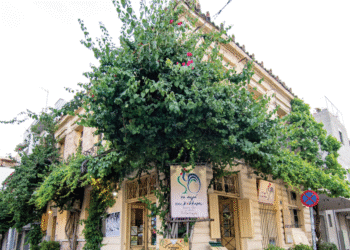 Το αυγό του κόκκορα: Μια αυλή που μοσχοβολά