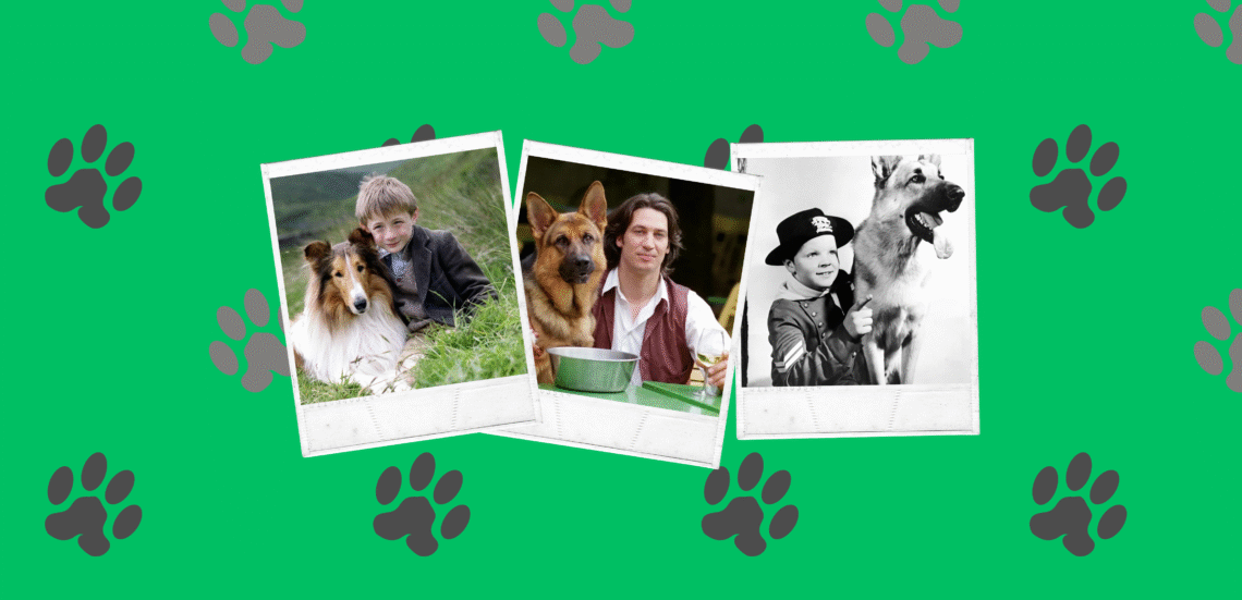 Family Polaroid Photos Postcard 1180 x 570 mm Paw-ζάτοι ήρωες! | Οι αληθινοί