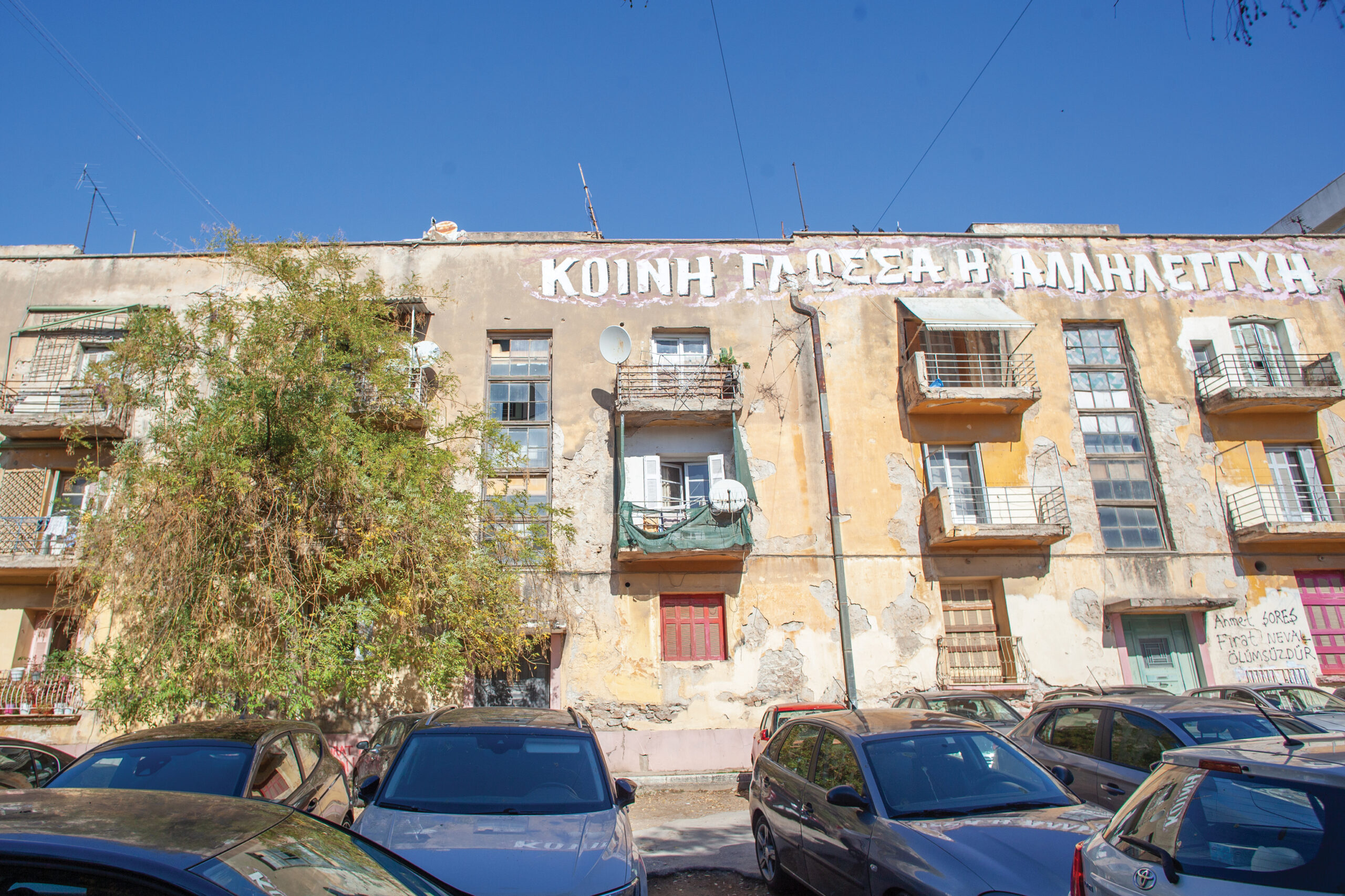 ΠΡΟΣΦΥΓΙΚΑ 2 scaled Aμπελόκηποι: Όταν τα αμπέλια συνάντησαν τις λεωφόρους