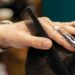The Barber man: 4 γενιές αντρικής περιποίησης