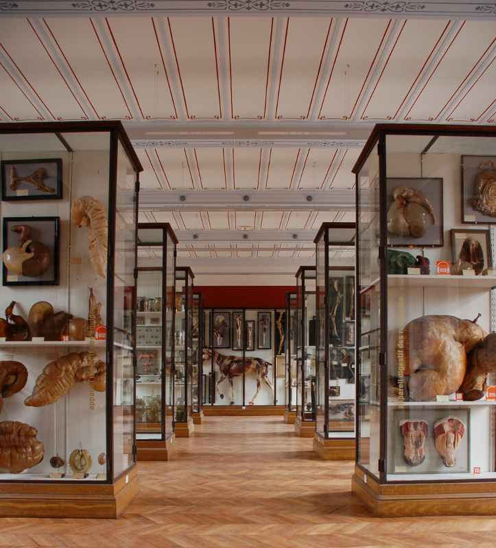 musee premiere salle Τα 5 πιο περίεργα μουσεία του πλανήτη