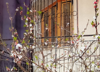 «Τα μπαλκόνια της Άνοιξης»: Οι δικές σας φωτογραφικές αποτυπώσεις