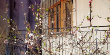 «Τα μπαλκόνια της Άνοιξης»: Οι δικές σας φωτογραφικές αποτυπώσεις 70 «Τα μπαλκόνια της Άνοιξης»: Οι δικές σας φωτογραφικές αποτυπώσεις