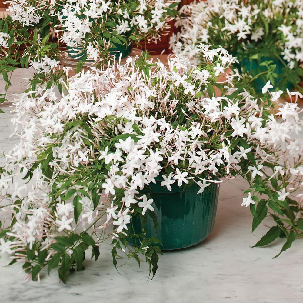 21216 Στο δικό μου ή στο δικό σου; Τα μπαλκόνια της πόλης, εξώστες προς τον ουρανό.