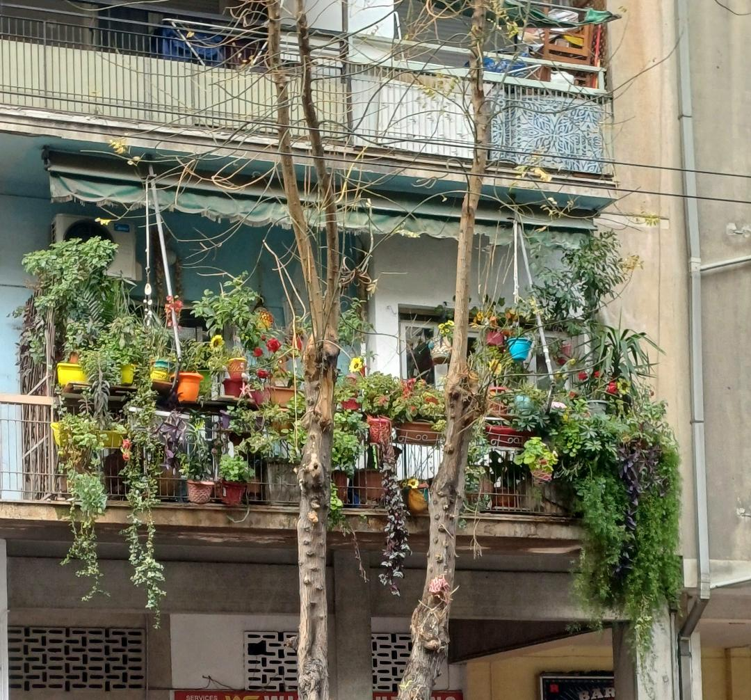 «Τα μπαλκόνια της Άνοιξης»: Οι δικές σας φωτογραφικές αποτυπώσεις 109 angisar@yahoo.it «Τα μπαλκόνια της Άνοιξης»: Οι δικές σας φωτογραφικές αποτυπώσεις