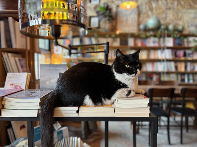 image16 Zátopek book café: Στην παρέα του βιβλιόφιλου δρομέα
