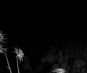 Banner 300x250 1 Η Πόλη Ζει