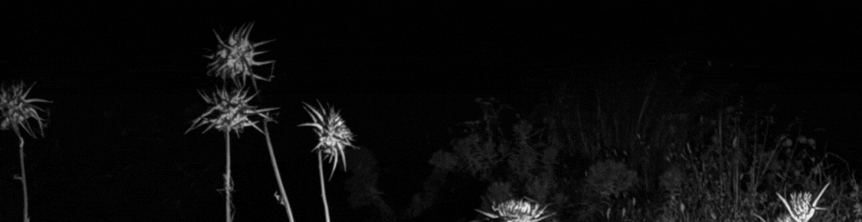 Banner 970x250 1 Η Πόλη Ζει