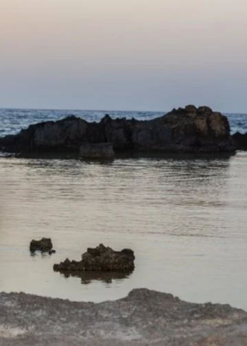Ελένη Ορνεράκη | Σε δημιουργική εγρήγορση